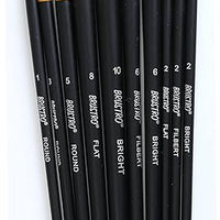 Golden Taklon Brush set of 10